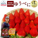 【ふるさと納税】相良村産 いちご「ゆうべに」 約250g×4パック 合計約1kg 日野農園 熊本県産 フルーツ イチゴ 苺 送料無料