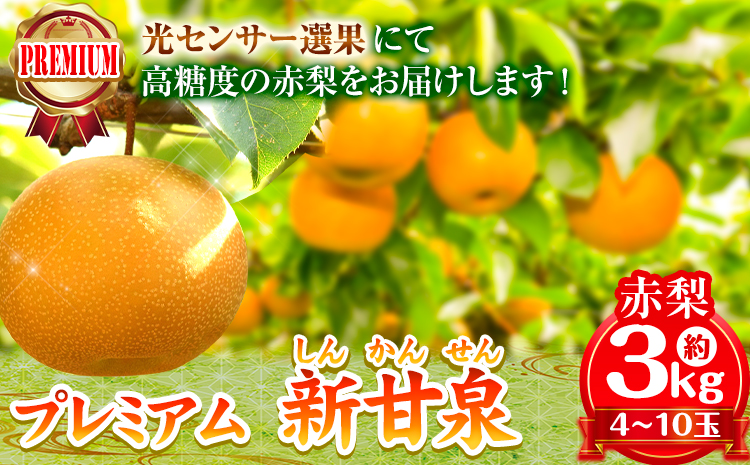 【先行予約】なし 梨 プレミアム 新甘泉 約3kg (4〜10玉) 高間商店《2025年8月下旬-10月上旬頃出荷》 鳥取県 八頭町 梨 なし ナシ 果物 フルーツ 厳選 先行予約 送料無料 甘い 果実 果汁 デザート 新甘泉梨 赤梨