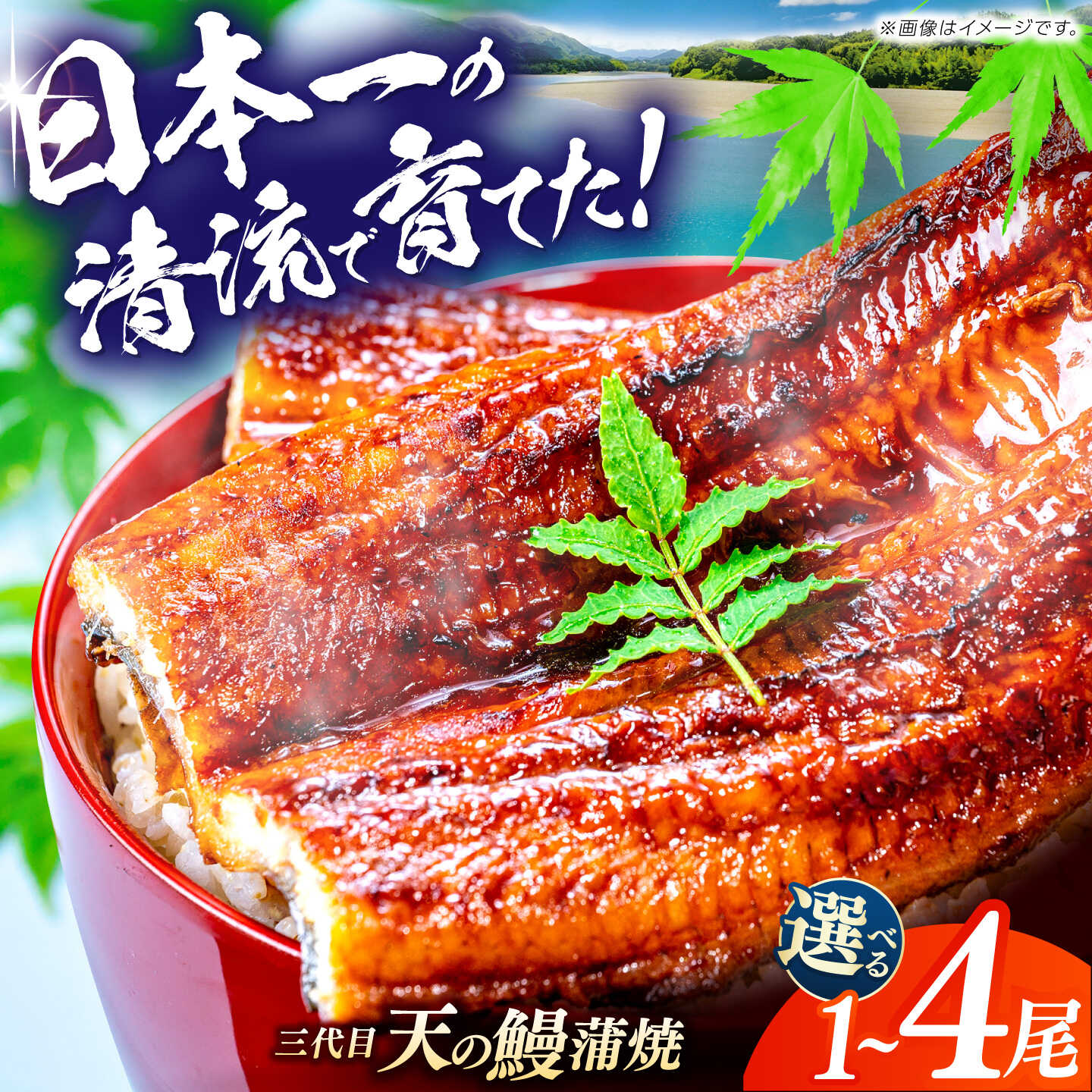【ふるさと納税】【選べる内容量】土佐料理司 三代目天の 鰻 蒲焼 1尾～4尾 (高知市春野町産) 【株式会社土佐料理司】[ATAD019] レンチン 蒲焼き かば焼き うなぎ ウナギ 小分け 個包装 パック 冷凍 国産 レンジ おかず 簡単調理 調理済 贈答