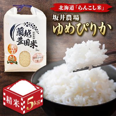 ふるさと納税 蘭越町 令和7年産　らんこし米 坂井農場 ゆめぴりか 5kg