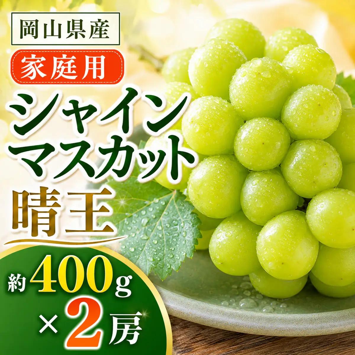 ぶどう 2026年 先行予約 ご家庭用 シャイン マスカット 晴王 約400g×2房