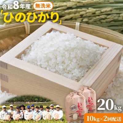 ふるさと納税 笠岡市 【令和8年産 先行受付】無洗米 ひのひかり 笠岡産 20kg 太陽の恵み O-07_20k_無洗米