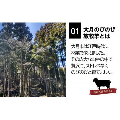 ふるさと納税 大月市 【大月のびの放牧羊】ラム肉ジンギスカン　600g(200g×3パック) |  | 02