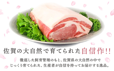 肥前さくらポークローススライス1300ｇ／ ふるさと納税  ブランド豚 豚肉 国産 国産豚 佐賀県 大町町  冷凍