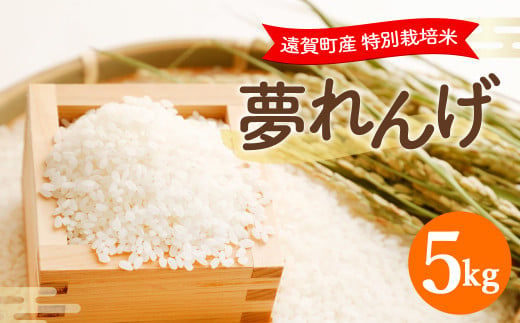 【令和7年産】 特別栽培米 夢れんげ 5kg 【2025年10月下旬発送開始】お米 精米 米 コメ