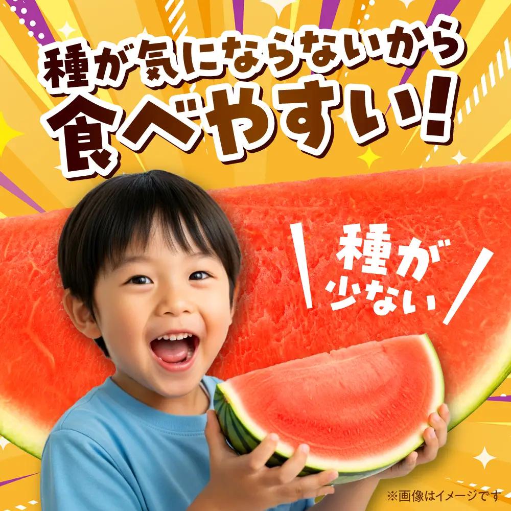 【先行予約】【2026年10月上旬より順次発送】熊本 ハロウィンすいか 1玉（約6～7kg） すいか[AYAB031]