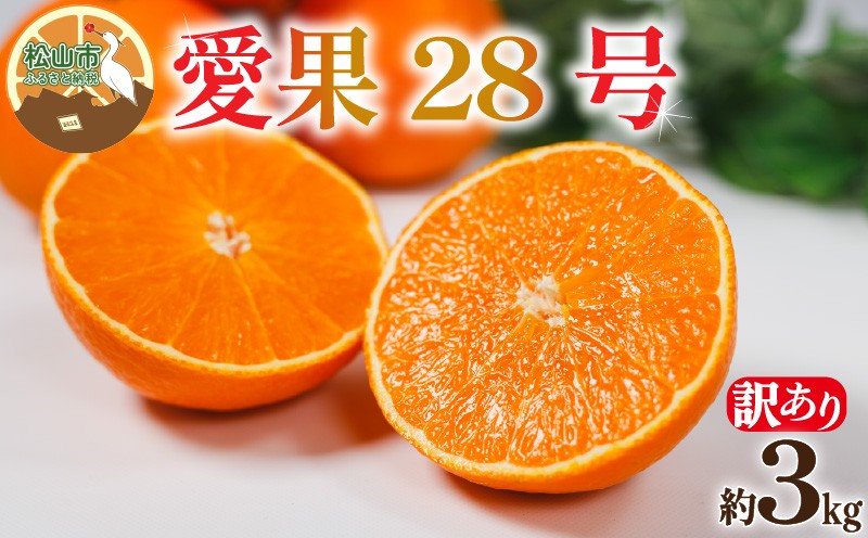 
            【訳あり】愛果28号 約3kg 【12月上旬~1月中旬頃発送予定】 | みかん ミカン あいか 紅マドンナ 紅まどんな と同品種 訳あり ワケアリ みかん 柑橘 アイカ 先行予約 高級 かんきつ 果物 フルーツ おすすめ 蜜柑 送料無料 愛媛県 松山市
          