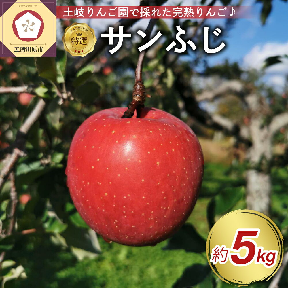 【ふるさと納税】【楽天限定】 りんご 《 先行予約 》 サンふじ 約 5kg 特選　樹上完熟 ( 配送時期が選べる 12月 上旬/中旬/下旬) / 林檎 アップル 贈答 秋 旬 果物 くだもの フルーツ 5キロ 贈り物 ギフト 年内配送 年内発送 青森県 五所川原市