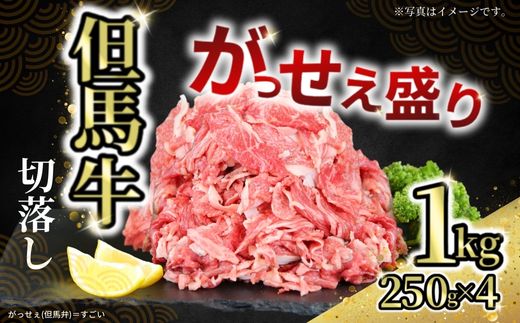 【但馬牛がっせぇ盛り スライス切り落とし計1kg（250g×4） 冷凍】発送目安：入金確認後1ヶ月程度 ※配送日の指定はできません 牛肉 但馬 神戸 兵庫県 但馬牛 72-23