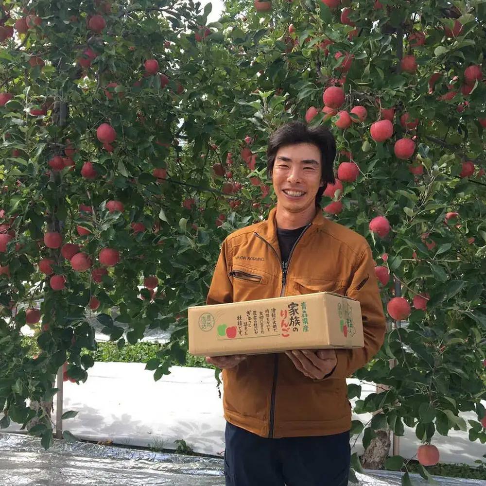 【26年10月発送】りんご 葉とらずサンつがる【おもてなし用】約3kg 平均糖度12度以上 青森県産 果物 フルーツ 林檎 リンゴ くだもの