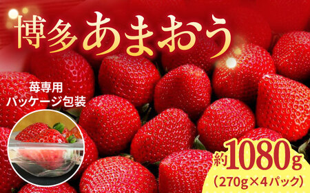 【2026年2月上旬より発送】先行予約！農家直送 朝採り新鮮いちご【博多あまおう】約270g×4＜株式会社H&Futures＞ 那珂川市 いちご フルーツ くだもの 果物 あまおう 九州産 苺 国産  [GDS004]13000 13000円