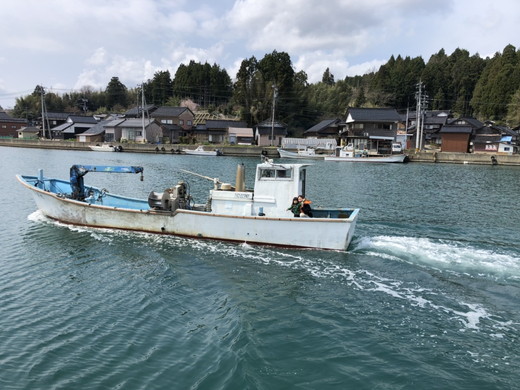 沢田水産　能登かき　むき身　1kg（箱入り）　加熱調理用　※北海道・沖縄・離島への配送不可　※2026年1月下旬～5月中旬頃に順次発送予定