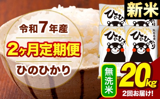 新米 令和7年産 無洗米 【2ヶ月定期便】 ひのひかり 20kg《お申込月の翌月から出荷開始》熊本県 大津町 国産 熊本県産 ヒノヒカリ こめ お米