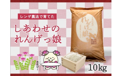 しあわせのれんげっ娘10kg (精米) | お米 おこめ 米 コメ 白米 ご飯 ごはん おにぎり お弁当 [0100]