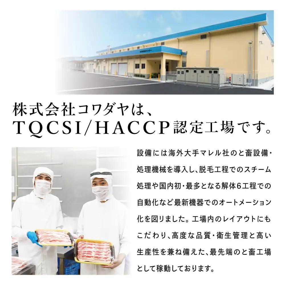 鹿児島産黒豚ロースしゃぶしゃぶ用 計2.5kg（500g×5P）国産 鹿児島県産 豚肉 黒豚 豚しゃぶ しゃぶしゃぶ すき焼き ロース スライス うす切り肉 薄切り お取り寄せ かごしま グルメ 鍋 