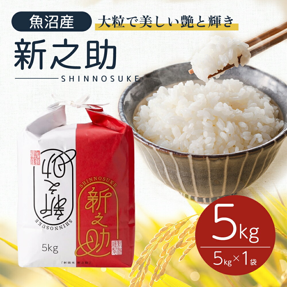 【ふるさと納税】令和6年産 魚沼産 新之助 5kg お米 米 コメ 　お届け：寄附確認後、10月下旬から発送いたします。