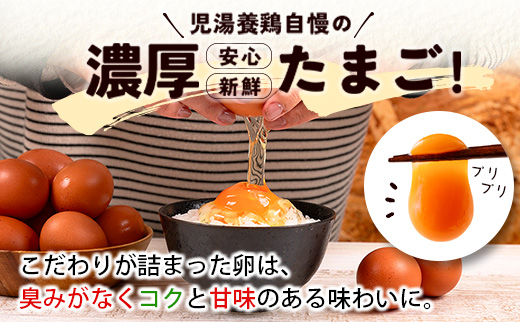 新鮮 たまご 30個×3か月 定期便 児湯の赤卵 小分け 3パック 卵 鶏卵 玉子 たまごかけご飯 お取り寄せ 小分け 生卵 濃厚 玉子（※2026年9月、10月、11月配送）【C464-091011