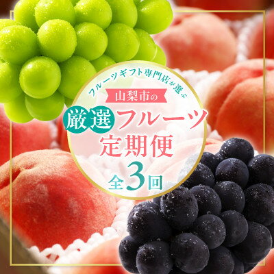 【ふるさと納税】【発送月固定定期便】フルーツギフト専門店が選ぶ山梨市の厳選フルーツ定期便全3回【配送不可地域：離島・沖縄県】【4064103】