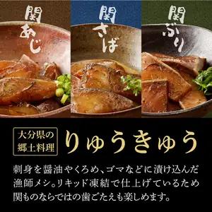 関のりゅうきゅうセット E22017