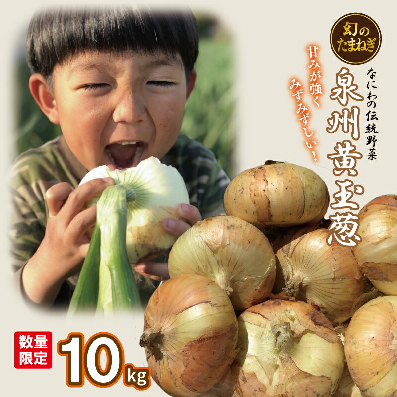 【ふるさと納税】【2026年5月初旬以降発送】 数量限定 幻のたまねぎ「泉州黄玉ねぎ」10kg 先行予約