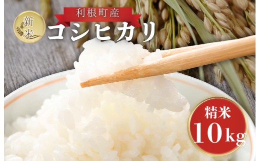 利根町産　コシヒカリ　精米　10kg ／ 米 こめ コメ お米 おこめ コシヒカリ こしひかり 令和7年産 新米 精米 白米 ごはん ご飯 10kg 茨城県 利根町 産地直送 送料無料
