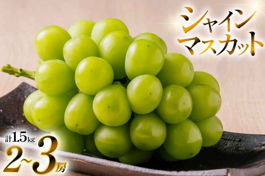 
            【期間限定発送】 シャインマスカット 2〜3房 約 1.5kg [いわた果樹園 山形県 高畠町 tk06ayt400001] ぶどう ブドウ 葡萄 フルーツ 果物 くだもの 1.5キロ 甘い
          