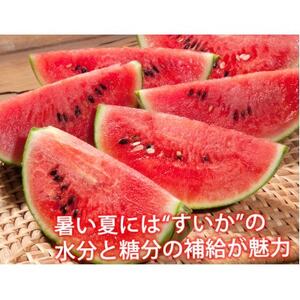 訳あり大玉すいか 1玉(約6kg～9kg)【2025年5月下旬より順次発送予定】(益城町)【1585582】