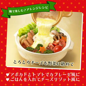 レトルト カゴメ 甘熟トマト鍋用スープ 750g×6個 大容量 簡単 時短 レトルト レトルト レトルト レトルト maruyama006