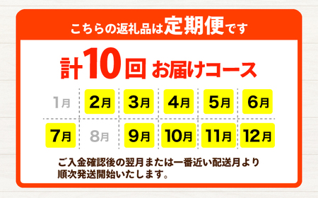 【年10回コース定期便】【数量限定】合志の旬のお野菜10～12品目【一般社団法人クラッシーノこうし】[AYAB013]