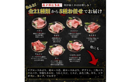 焼肉セット9種盛【サーロイン･ウチモモ･イチボ･カメノコ+お任せ5種】