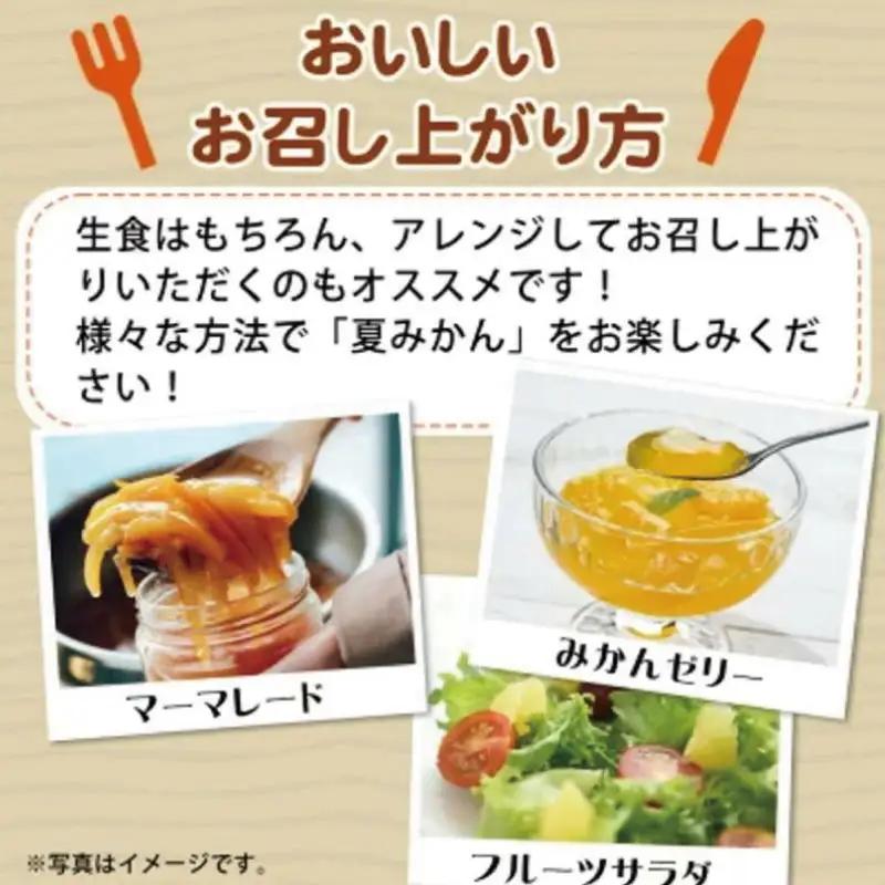 夏みかん 7.2kg　※2027年4月中旬頃～2027年4月末頃順次発送（お届け日指定不可）【uot775】