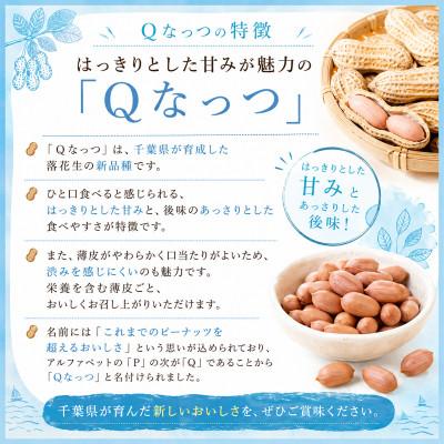 ふるさと納税 大網白里市 大網白里市産　落花生　Qナッツ4袋入り |  | 01