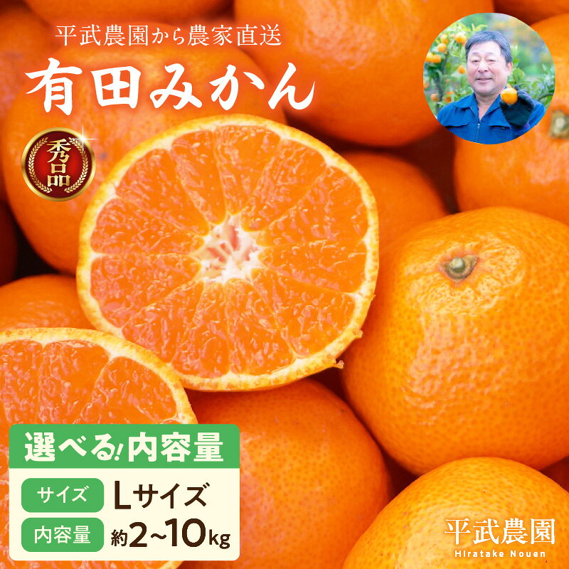 【ふるさと納税】【平武農園より農家直送！】 有田みかん Lサイズ 秀品 選べる 内容量 2kg ～ 10kg ミカン 柑橘 フルーツ 温州みかん 濃い 甘さ 酸味 濃厚 農家直送 こだわり 和歌山 有田 田口みかん 田口地区 和歌山県 湯浅町 送料無料