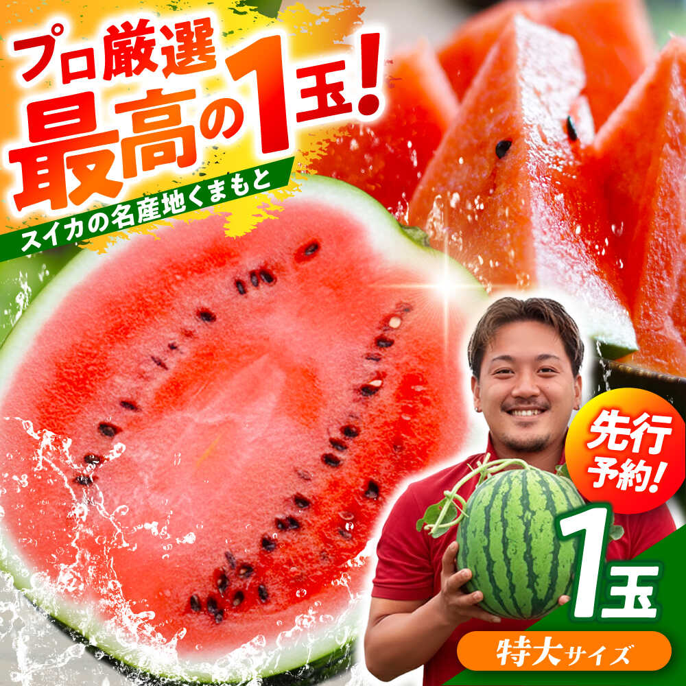 【ふるさと納税】【先行予約】 大玉スイカ！ 特大サイズ（約11kg以上）　厳選 1玉！ すいかの名産地 熊本からお届け 【城野農園】[ZFV003]