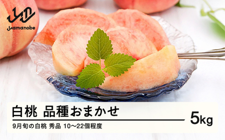 《先行予約》もも 桃 品種おまかせ 白桃 秀品 約5kg (10～22個程度) 9月旬の白桃 山形県産 2026年9月中旬～9月下旬順次発送予定 送料無料 nf-mohtx5-9f