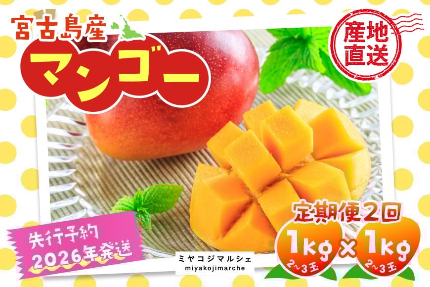 
            JH003《先行予約 2026年発送》宮古島産マンゴー（1kg×定期便2回）【（株）フラモン】
          