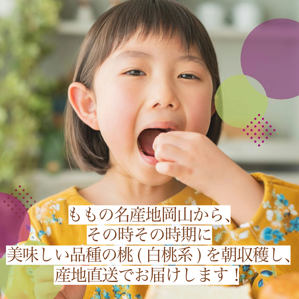 【2025年先行予約】［大原観光果樹園］岡山県産 旬の朝採れ白桃 1箱（約2kg 6玉）【026-a019】