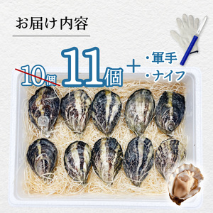 先行予約 あまべ牡蠣 11個 牡蠣 シングルシード 生食用 殻付き かき カキ オイスター 生ガキ 生牡蠣 生がき 生かき ギフト 貝 旨味 【2026年12月以降にお届け】