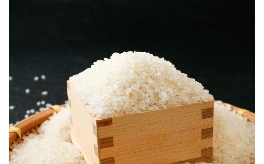 【定期便3回】 奈良大和路 ひのひかり 白米 5kg | コメ 米 こめ お米 おこめ オコメ ひのひかり おにぎり 白米 おにぎり | 奈良県 五條市