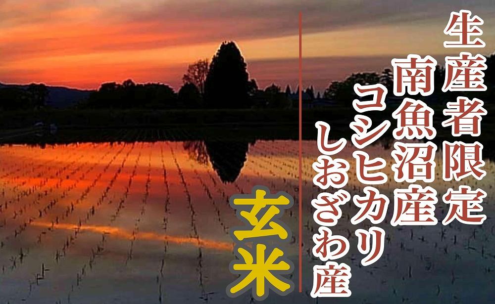 【新米予約・令和6年産】定期便３ヶ月：玄米２Kg 生産者限定 南魚沼しおざわ産コシヒカリ