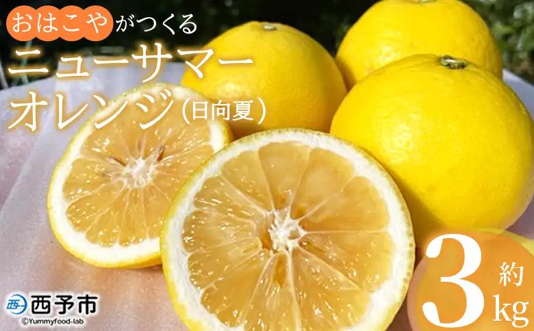 ＜おはこやがつくる ニューサマーオレンジ（日向夏） 約3kg（L～3Lサイズ）＞ 果物 フルーツ 柑橘 ミカン 蜜柑 日向夏 小夏 特産品 西宇和 愛媛県 西予市【常温】『2027年4月上旬～4月中旬迄に順次出荷予定』MOK0005