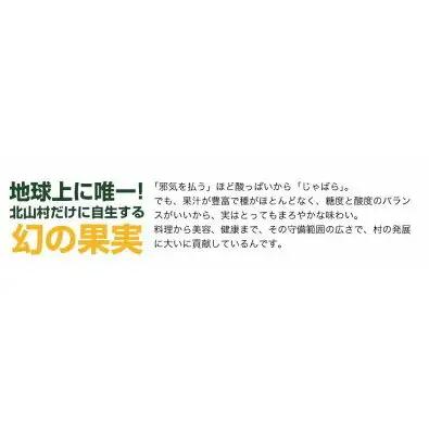 はちみつじゃばら 500ml×2本  邪払 ジャバラ じゃばら じゃばらジュース 北山村／紀伊国屋文左衛門本舗_V7157