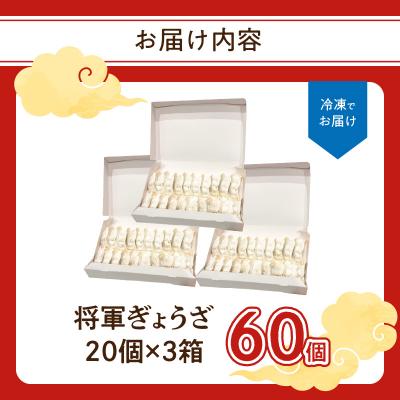 ふるさと納税 大分市 餃子専門店の餃子 将軍餃子 60個_A02033 |  | 03
