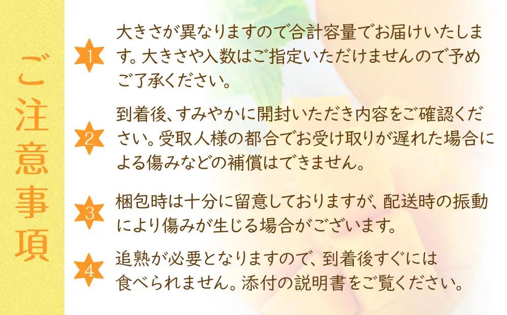 超希少なマンゴー［キーツ］約800g 和歌山市［2026年9月中旬頃から発送］