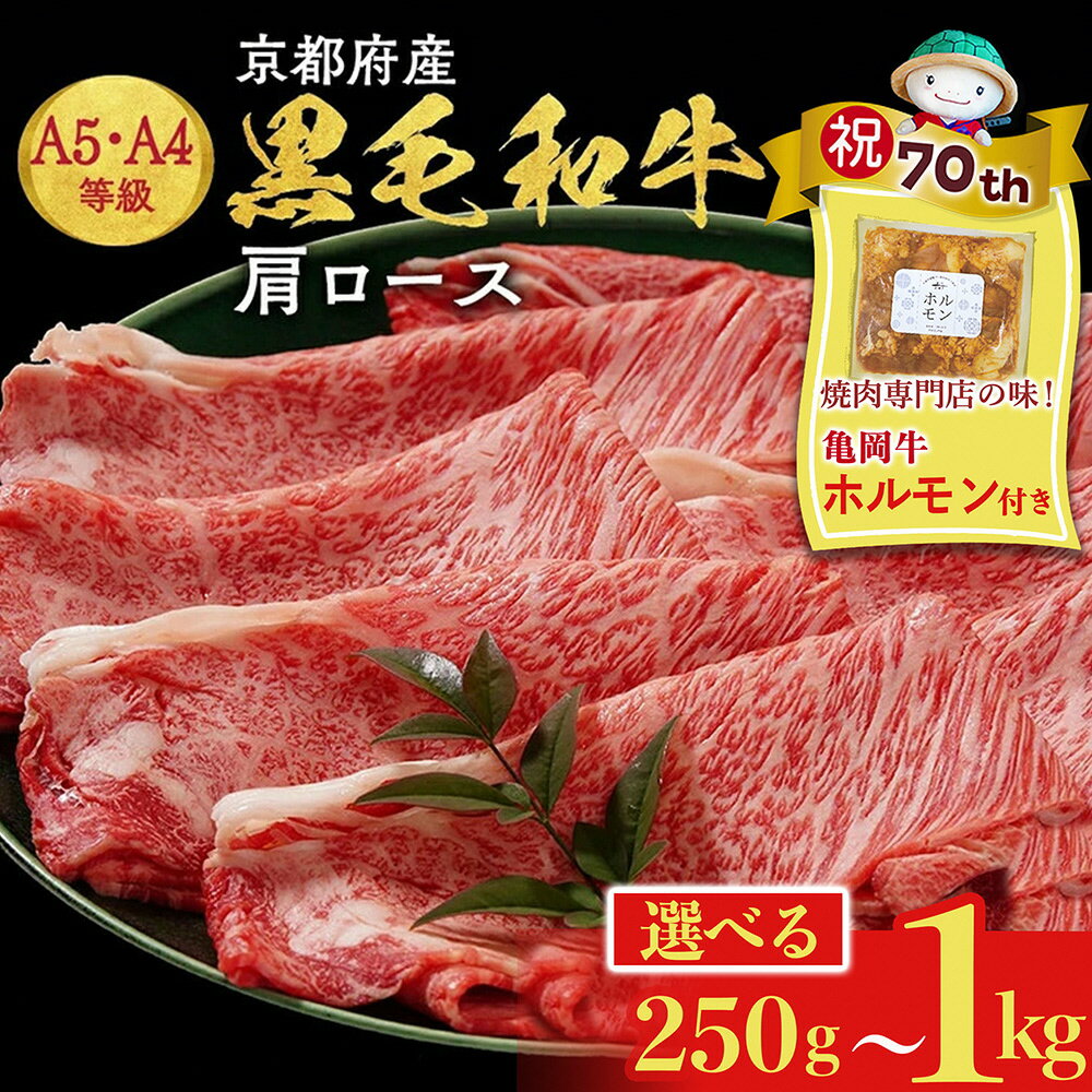 【ふるさと納税】【70th記念 年末感謝！】すき焼き 高評価★4.8 黒毛和牛 A4 A5 肩ロース スライス［選べる 250g 500g 750g 1kg ］小分け 冷凍｜京都 焼肉 平壌亭 牛肉 肉 すきやき しゃぶしゃぶ※離島への配送不可【特別規格 2月発送～亀岡牛ホルモン付き】期間限定