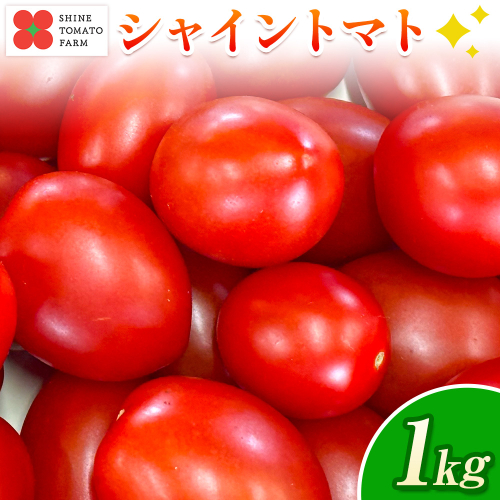 シャイントマト 1kg シャイントマトファーム《1月中旬-6月中旬頃出荷》岡山県 笠岡市 送料無料 トマト 野菜 ミニトマト【配送不可地域あり】