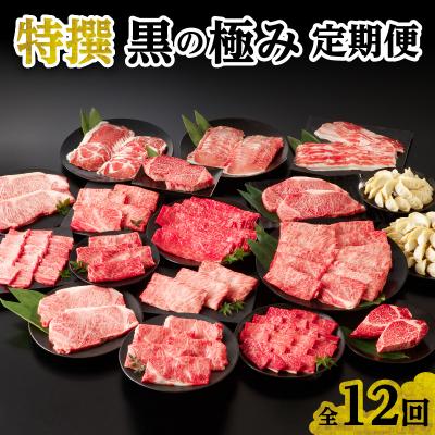 ふるさと納税 南九州市 【全12回】特撰 黒の極み定期便