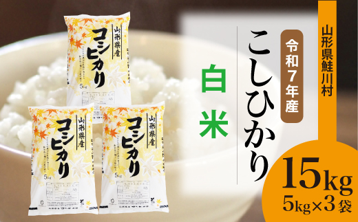 ＜令和7年産米＞ 鮭川村 こしひかり 【白米】 15kg （5kg×3袋）＜配送時期選べます＞
