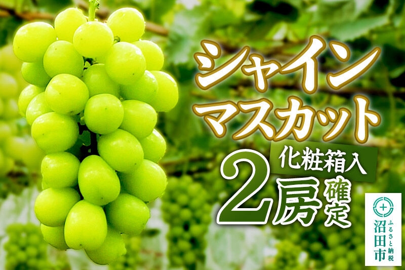 
                  《2026年9月下旬～10月上旬発送》先行予約 果実の里 原田農園 シャインマスカット 2房（計約1.0kg～1.4kg）化粧箱入り [葡萄 ぶどう ブドウ しゃいんますかっと]
                