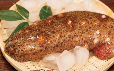☆冬季限定☆＜周防大島産＞天然活赤なまこ 1kg【先行受付開始！2027年1月20日以降のお届け】
